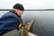 Kesänuottaus